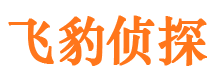 渑池市侦探调查公司